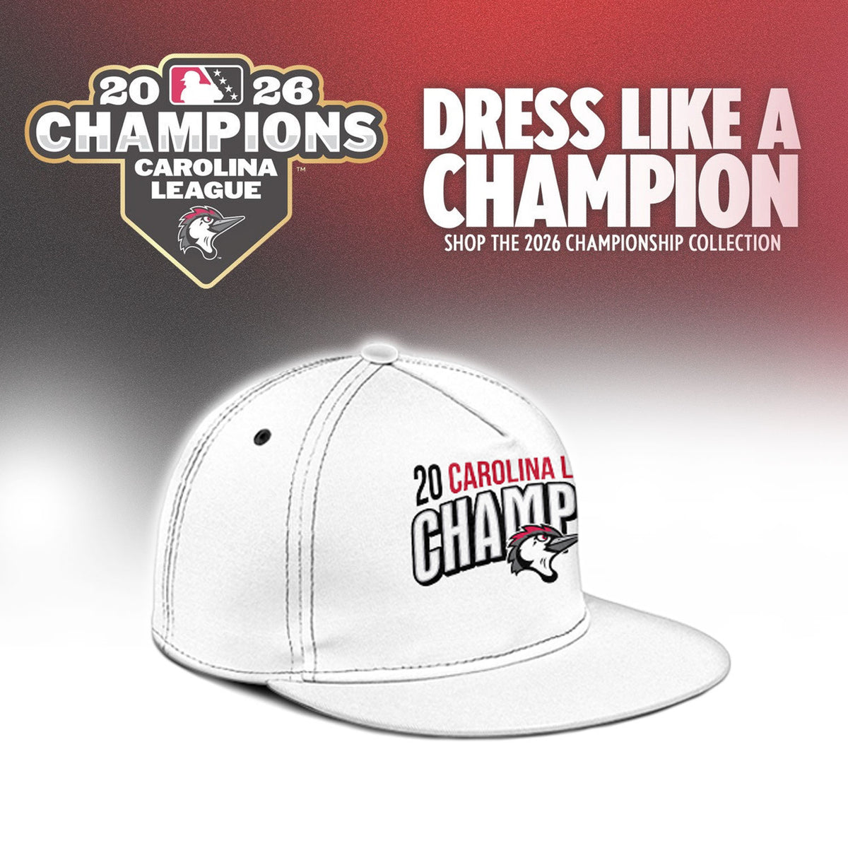 ____.๐F.Woodpeckers 2026 Carolina League Champions Limited Jersey